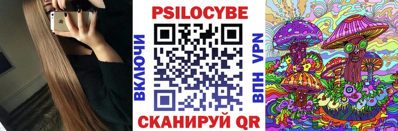 Псилоцибиновые грибы Psilocybe  Луховицы 